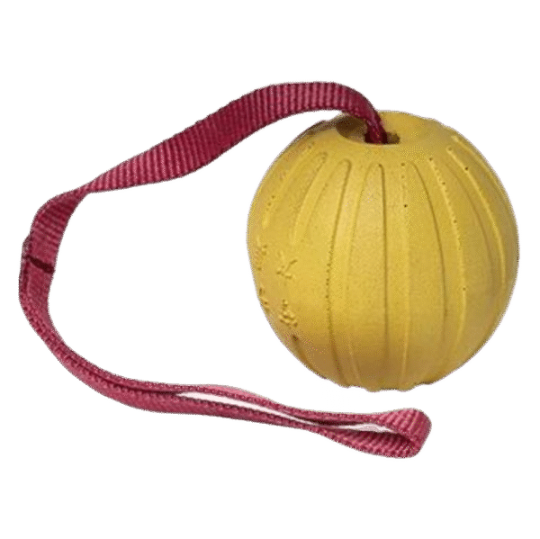 توپ فومی آموزشی سایز لارج